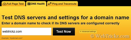 Test kondycji DNS