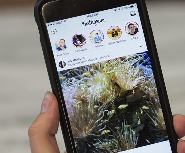 Mężczyzna trzymający telefon; Jak używać StoriesDown do pobierania historii z Instagrama