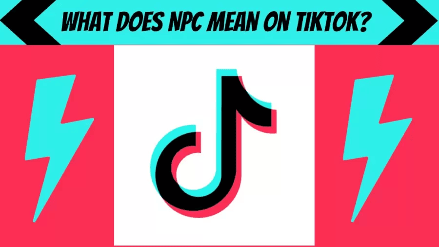 Co oznacza NPC na TikTok?