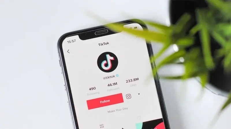 Rzeczy do rozważenia przed odblokowaniem kogoś na TikTok