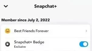 Jak uzyskać odznakę Snapchat Plus