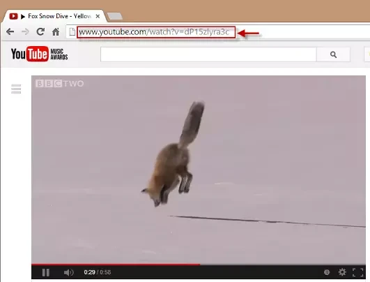 YouTube VLC Download
